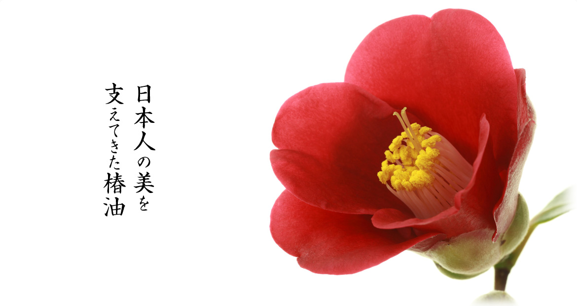 純椿油（日本産純ツバキ油） - 化粧品原料